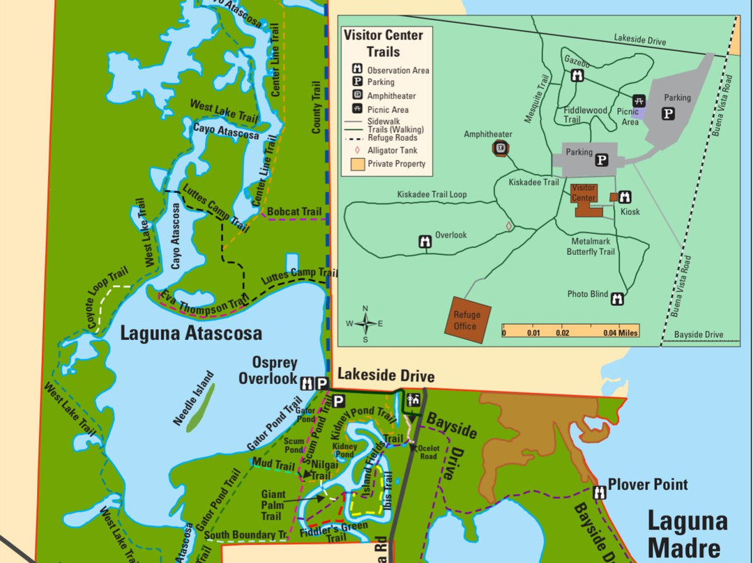 Laguna Atascosa National Wildlife Refuge-德克萨斯州墨西哥湾沿岸必去景点