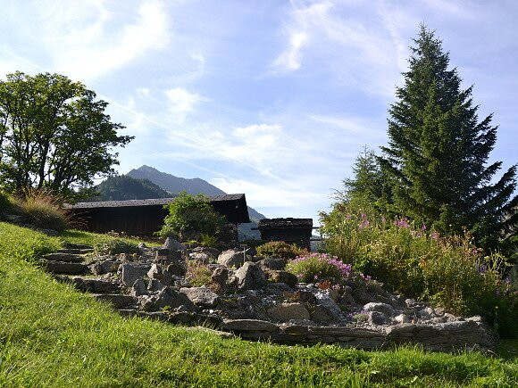 Jardin alpin La Linnaea景点图片