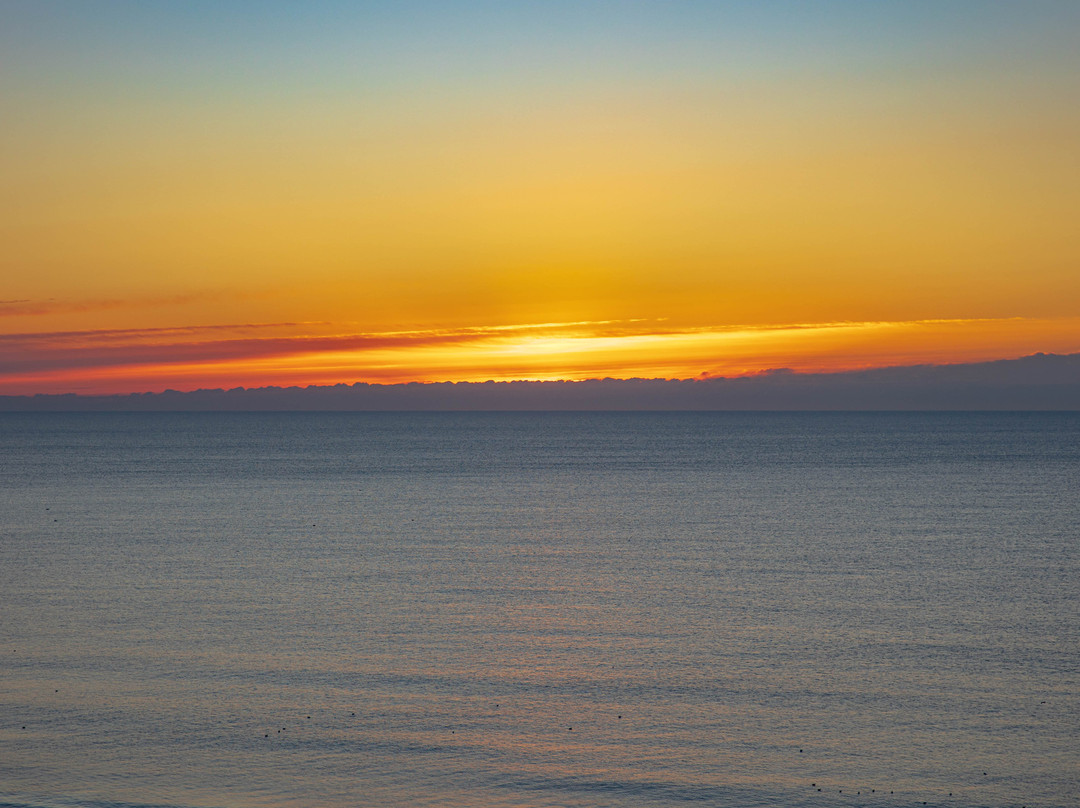 Homewood Suites by Hilton Myrtle Beach Oceanfront主图