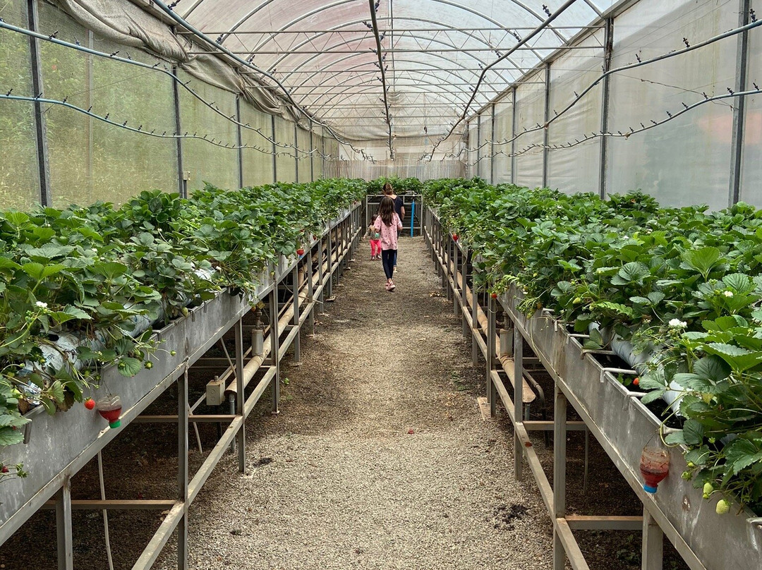 Fazenda Maria da Fé-Maria da Fe必去景点