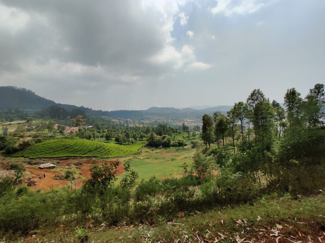 Coonoor Central景点图片