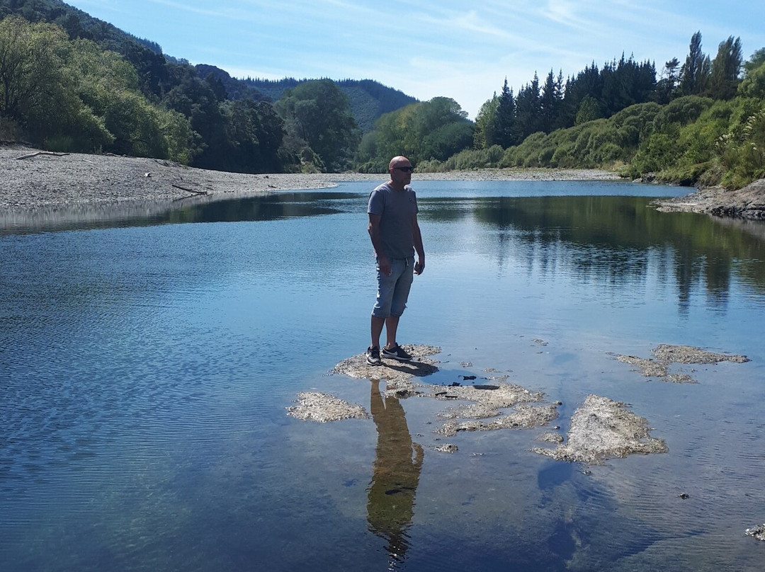 Pelorus Bridge Scenic Reserve景点图片