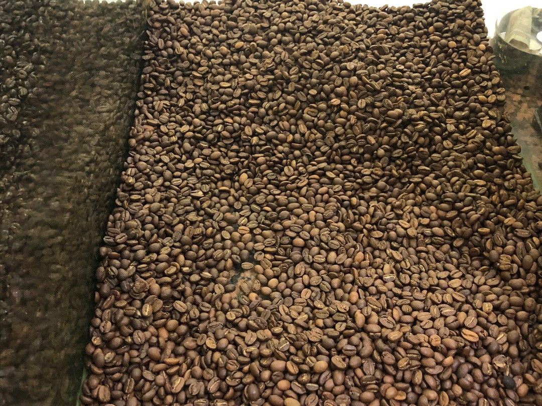 Sass Roastery Coffee & Spice Shop