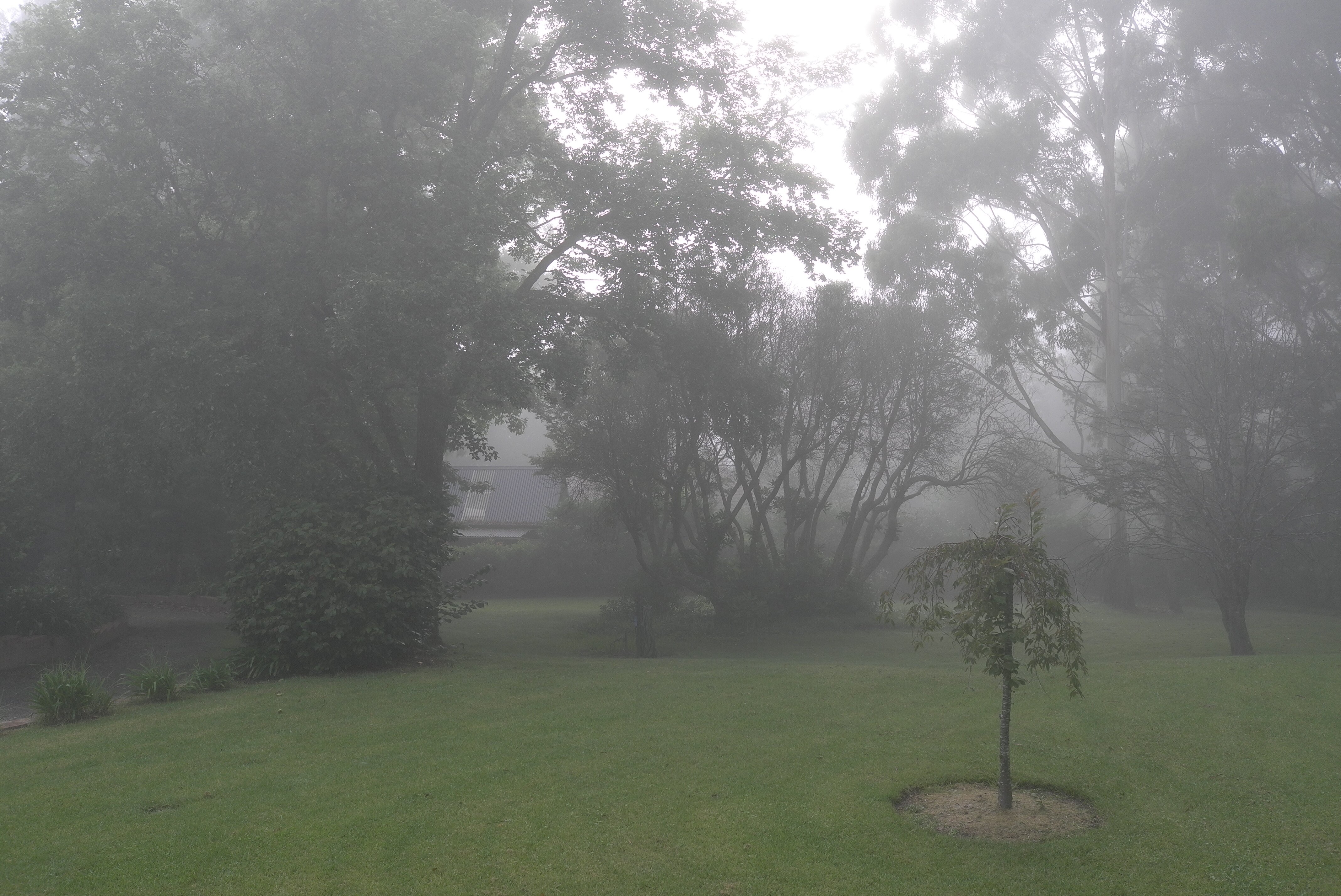 溶胶加勒比海花大酒店-酒店景观