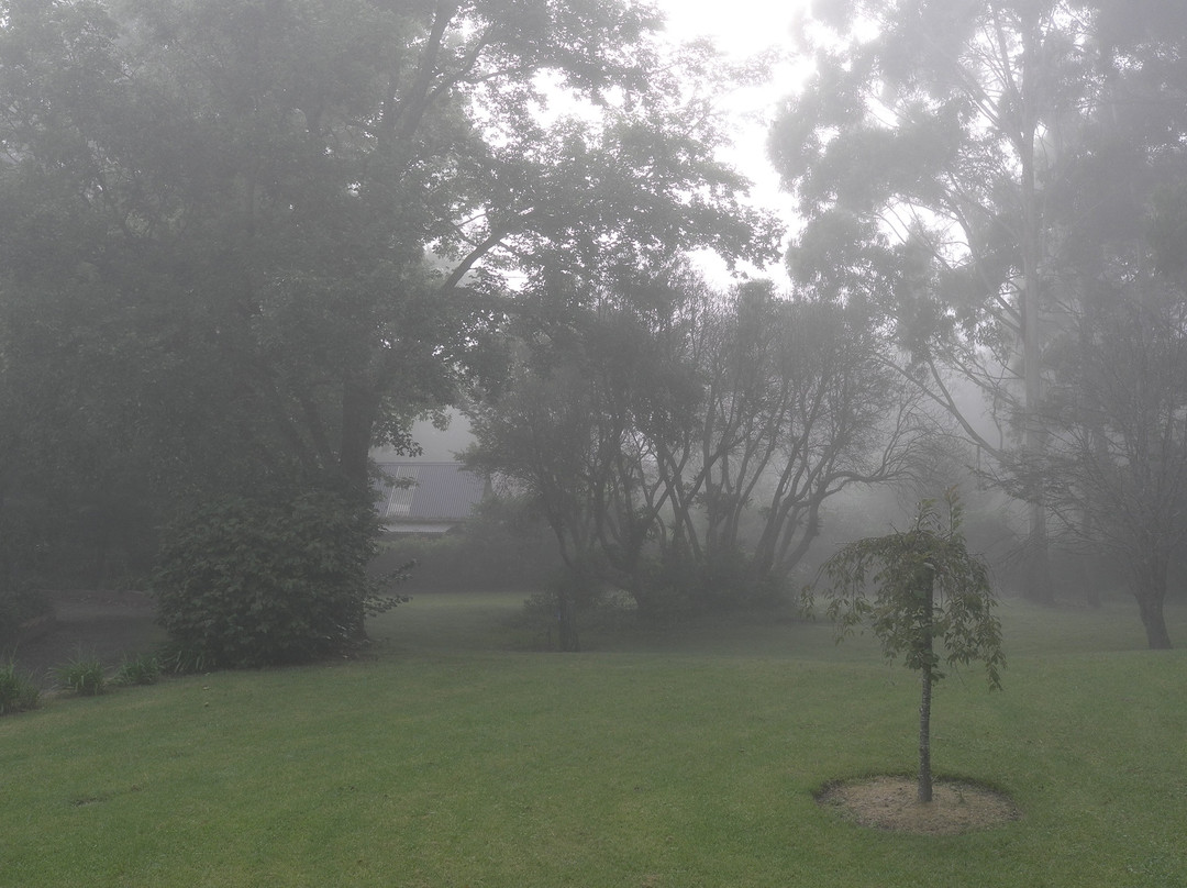 溶胶加勒比海花大酒店主图