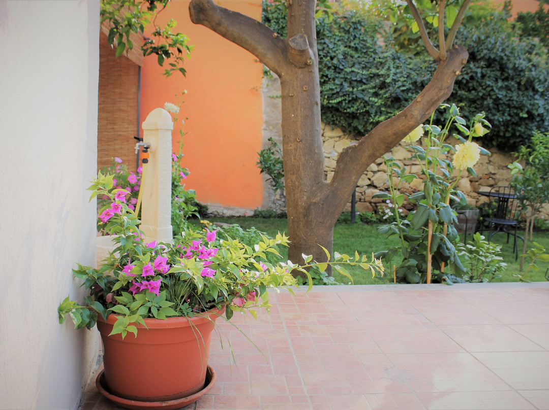 Il Giardino Degli Aranci主图