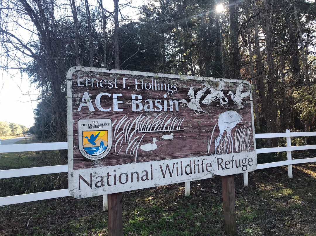 ACE Basin National Wildlife Refuge景点图片