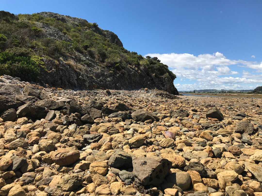 Goat Island-Ulverstone必去景点