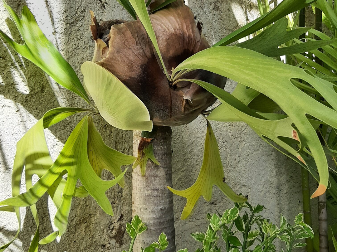 Posada Libert Hotel主图