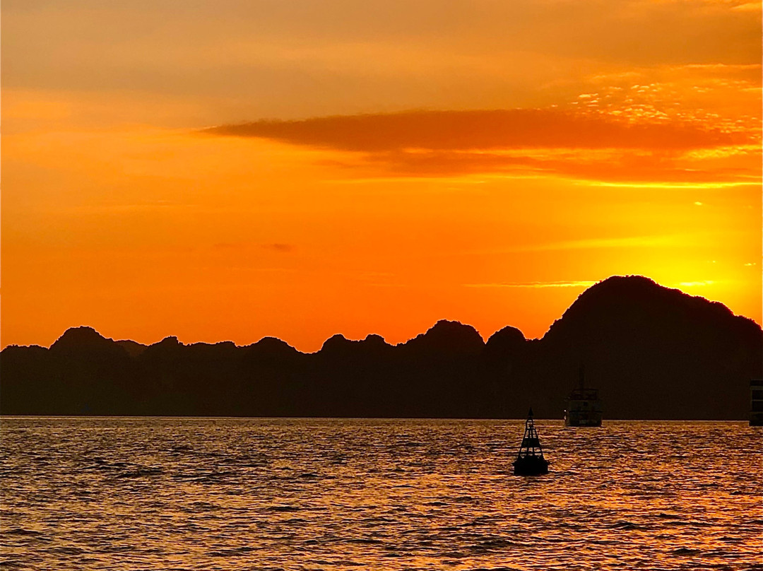Wego Halong Cruises景点图片