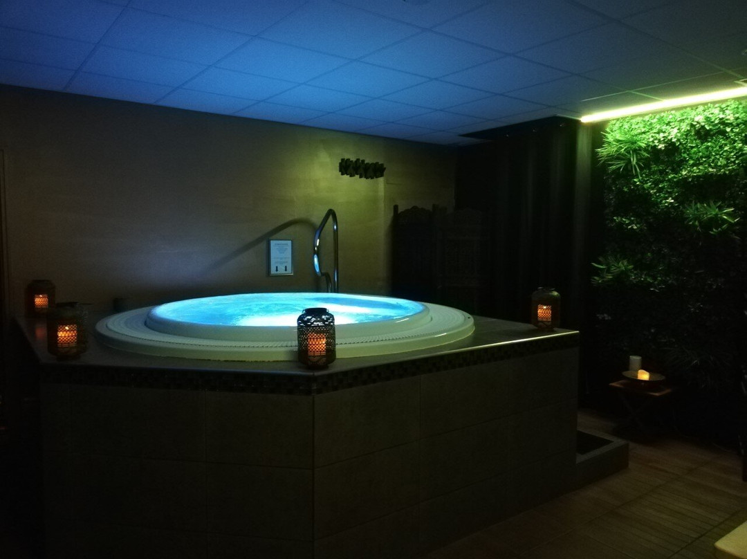 Spa Villa Royale景点图片