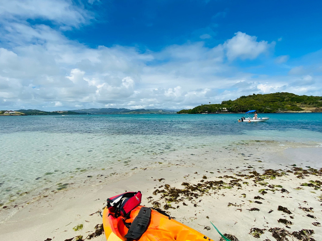 Les Kayaks des Ilets du Francois景点图片