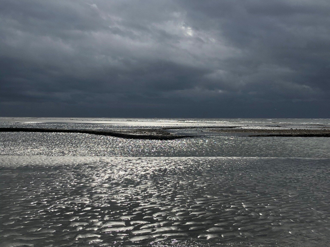 Folly Beach County Park景点图片