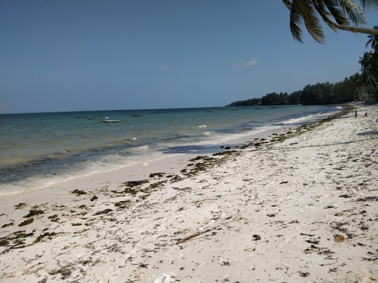 Blu Marlin Village主图