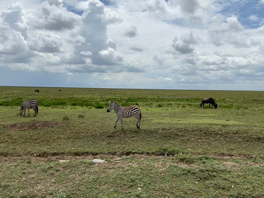 Rhino Explorer Tours & Safaris-Mto wa Mbu必去景点