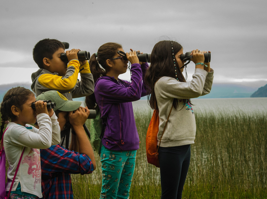 Lago Calafquen-Lican Ray必去景点