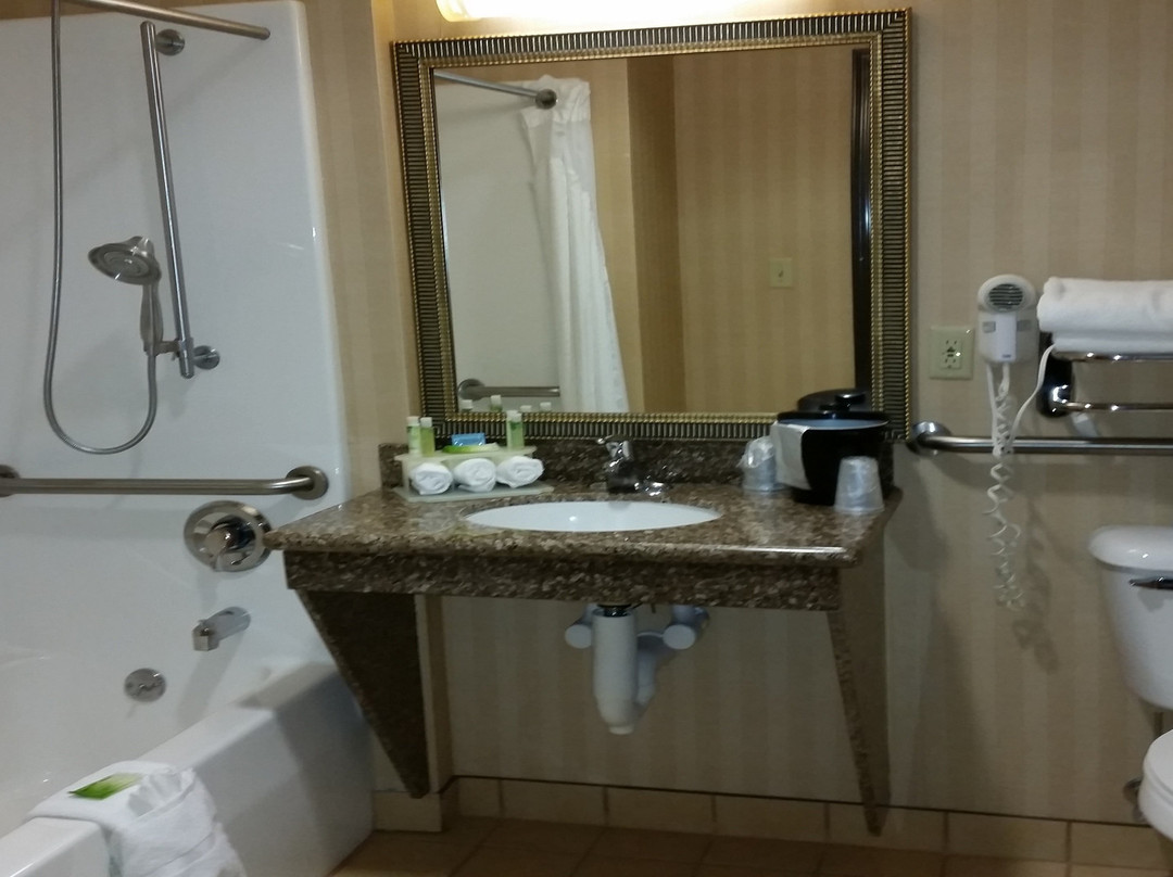 Holiday Inn Express & Suites New Buffalo, Mi By IHG主图