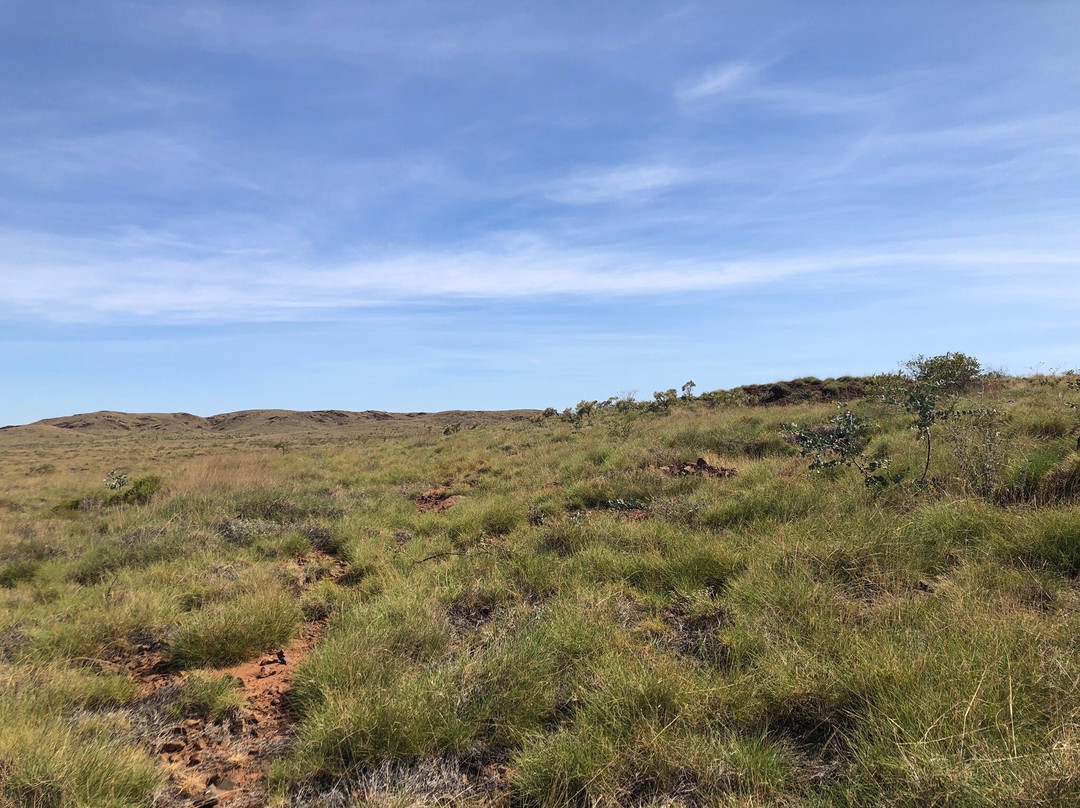 Red Dog Memorial-Cossack必去景点