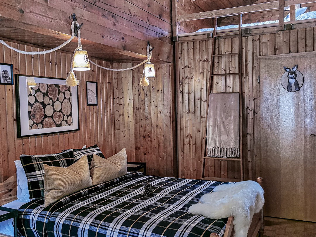 Relais des Melezes主图