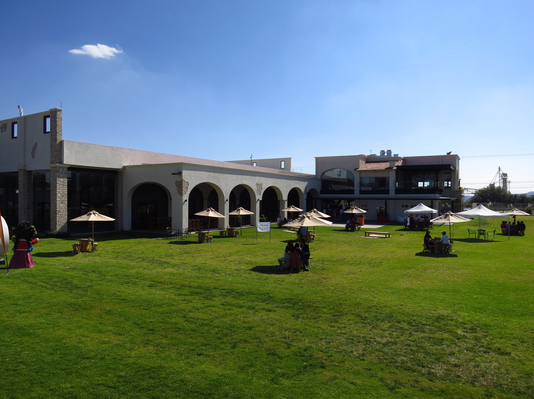 Vinedos Donato-克雷塔罗必去景点