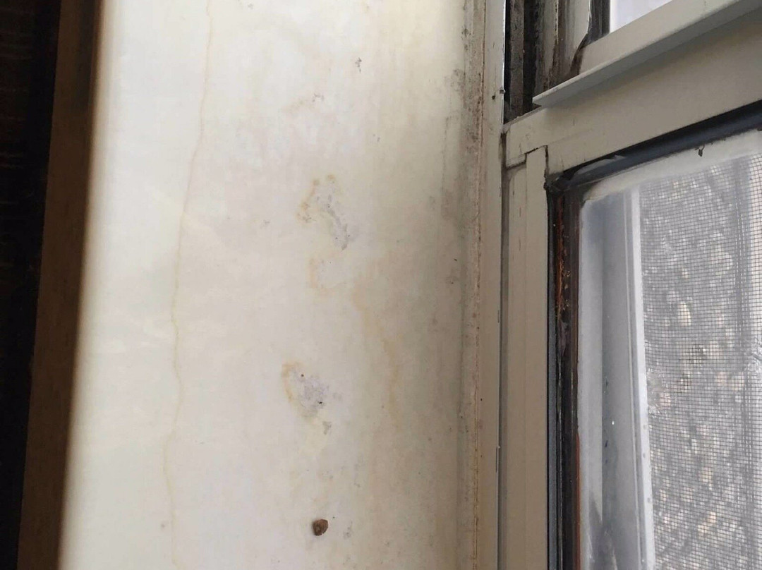 Days Inn by Wyndham Vega TX主图