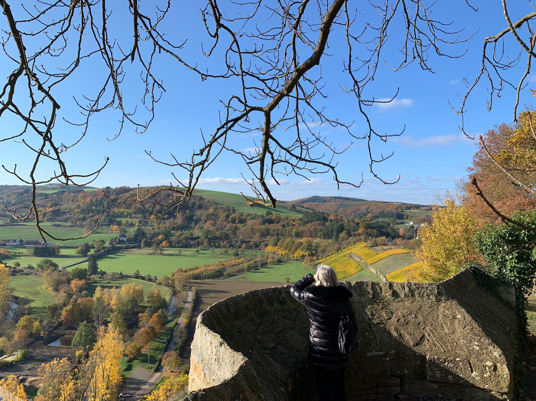 Klosterruine Disibodenberg (Hildegard von Bingen)景点图片