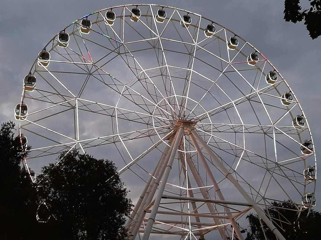 Ferris Wheel Odno Nebo景点图片