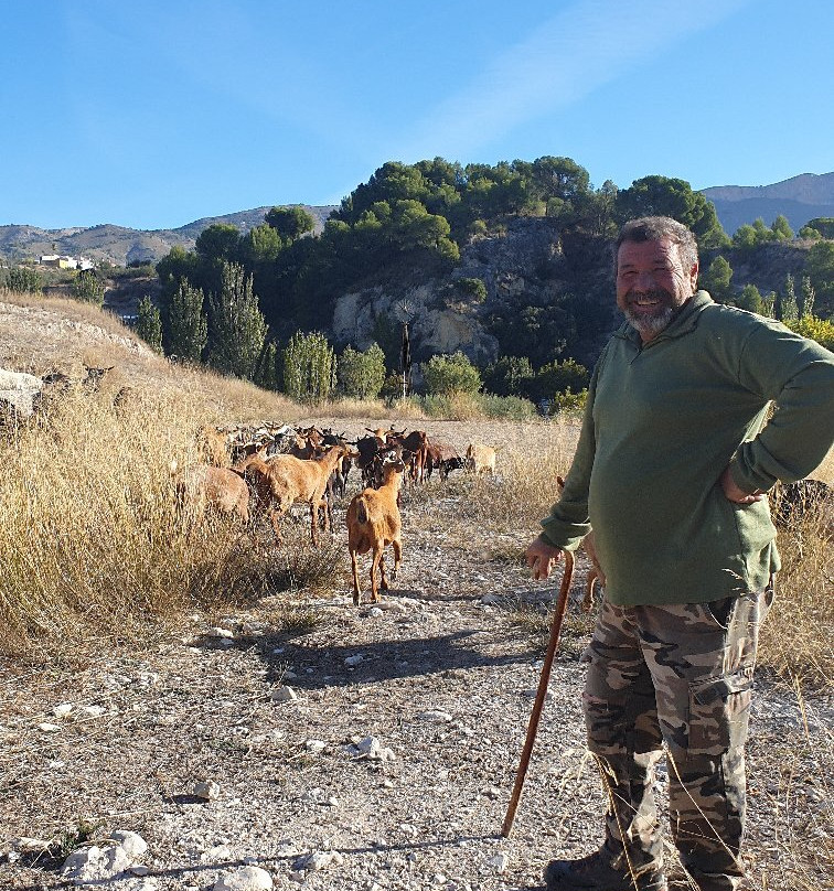 Queseria del Valle de Tibi景点图片