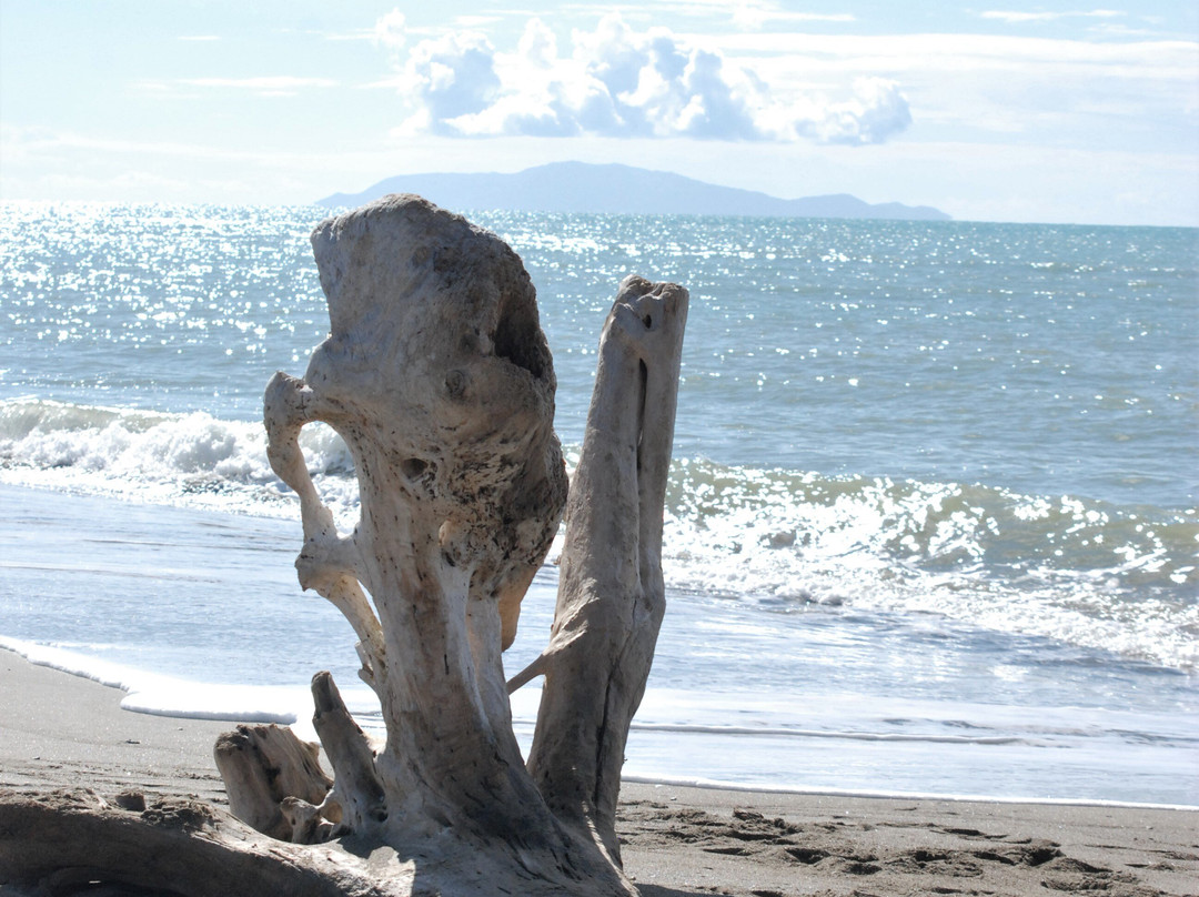 Spiaggia delle Capanne-Principina a Mare必去景点