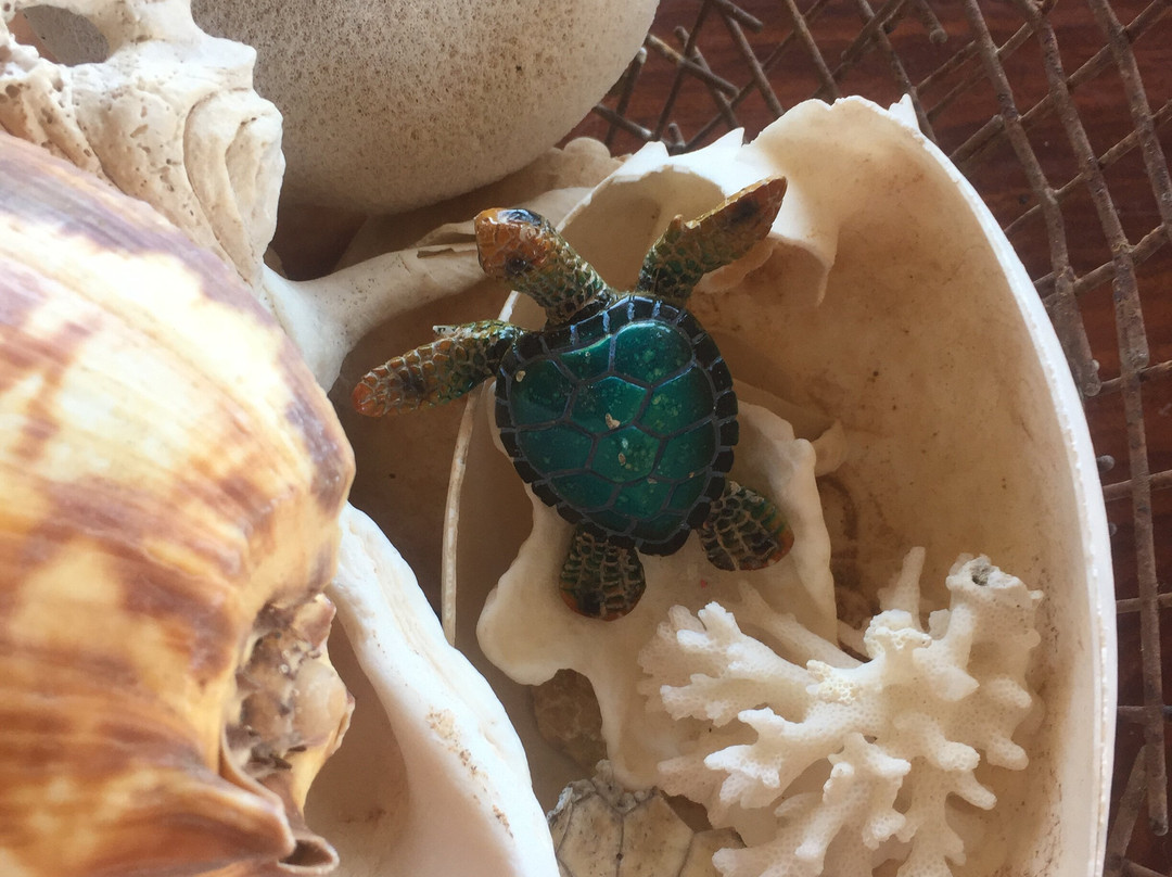 萨尔萨利斯尼加卢礁酒店主图