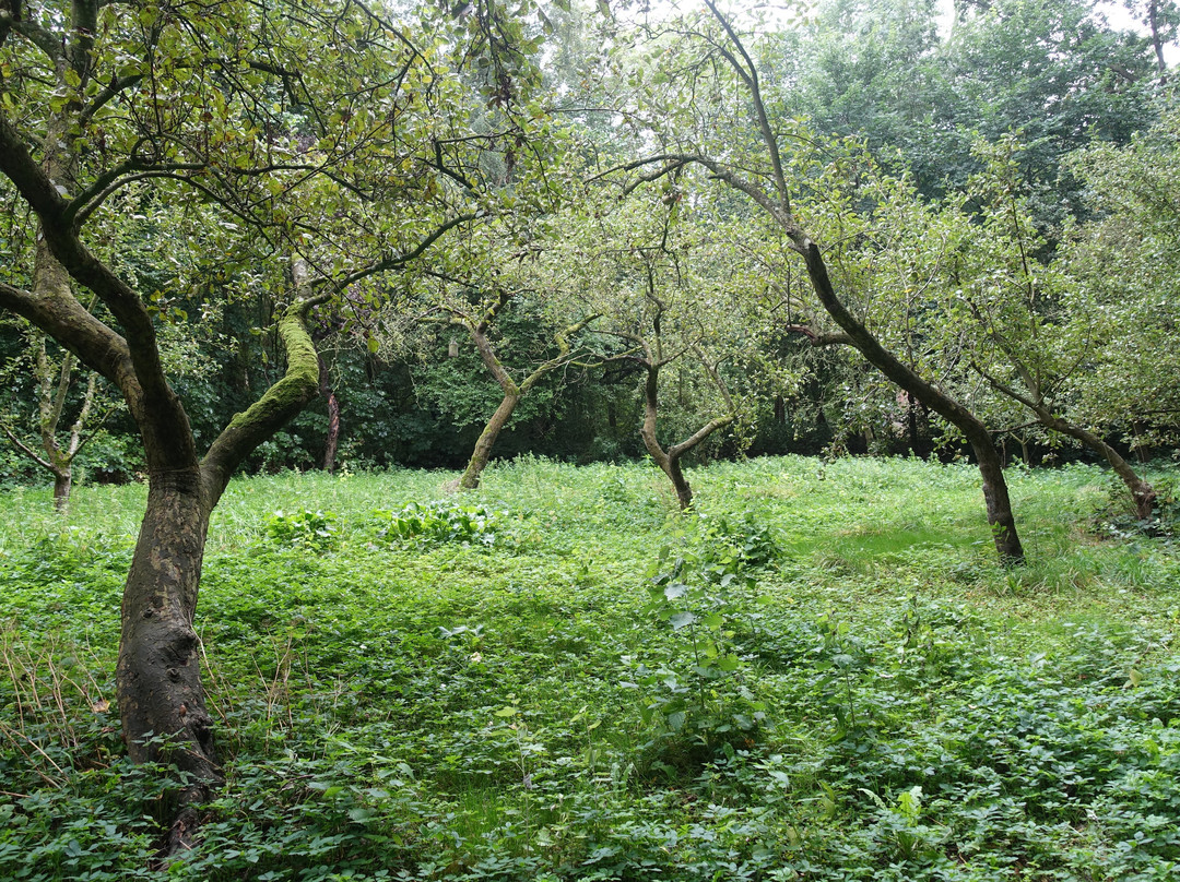 Hochdorfer Garten景点图片