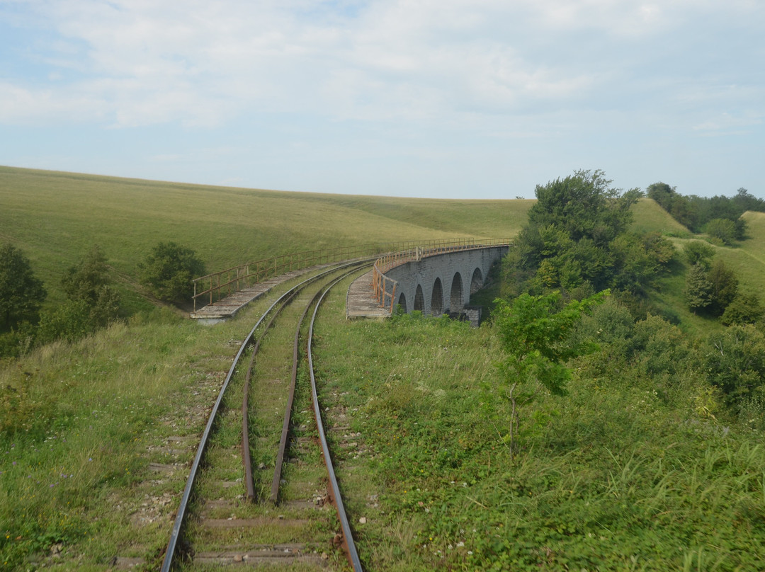 Oravita – Anina Railway景点图片