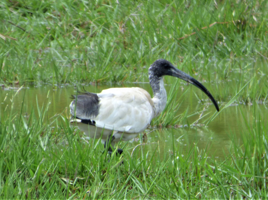 Great Barrier Reef Drive-凯恩斯必去景点