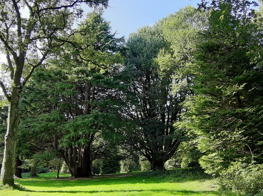 Gosford Forest Park景点图片