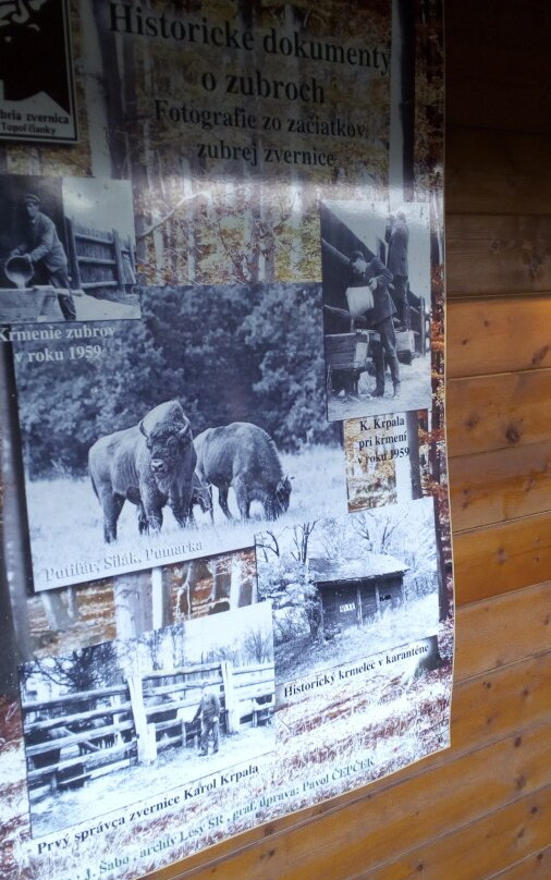 Topolcianky Bison Park-Topolcianky必去景点