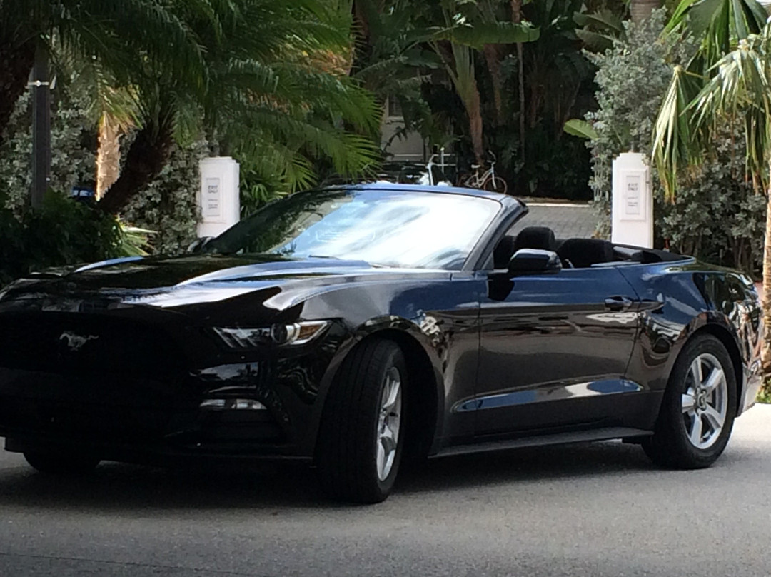 Miami Convertibles-迈阿密海滩必去景点