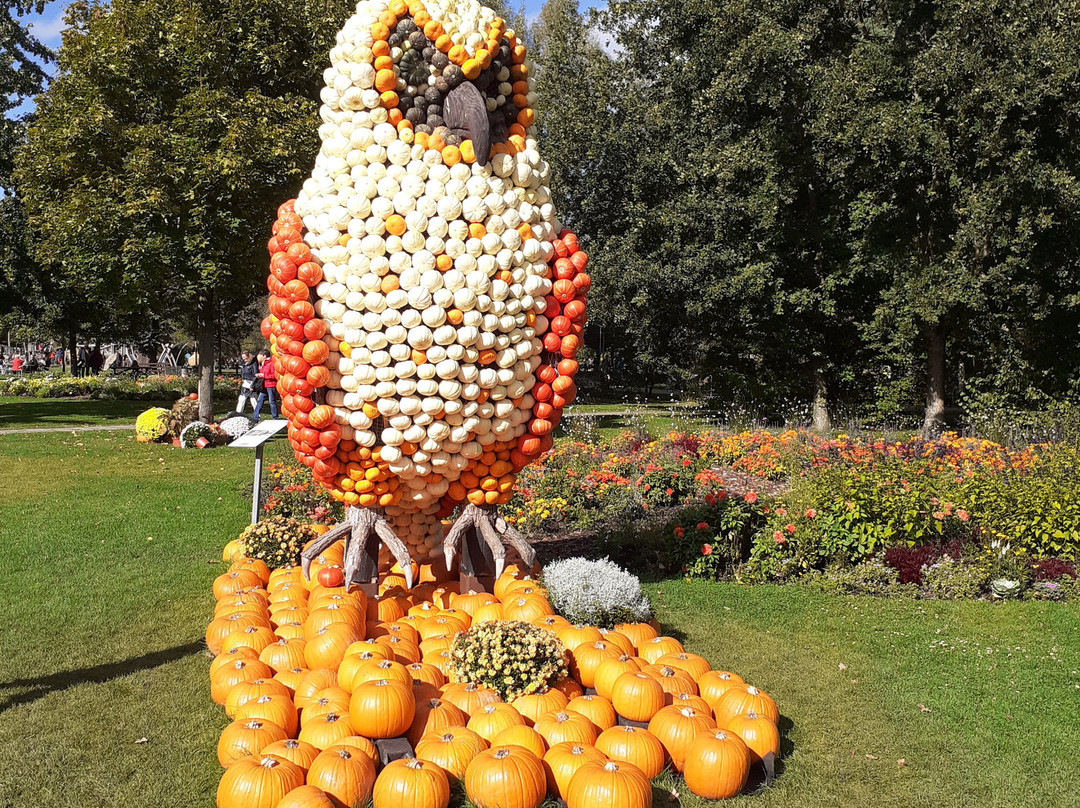 Gartenschau Kaiserslautern景点图片