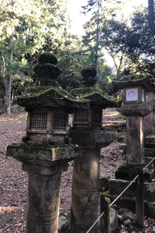 Kasuga Shrine-Osu必去景点