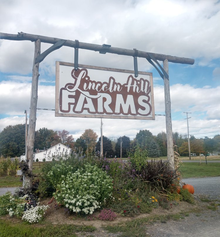 Lincoln Hill Farms景点图片
