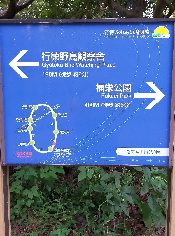 Gyotoku Birdwatching Facility-市川市必去景点