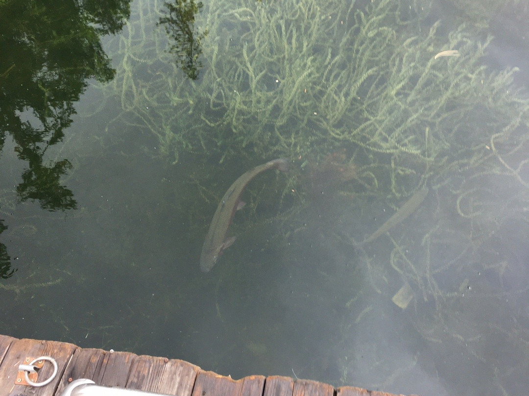 Corbett Lake Lodge主图