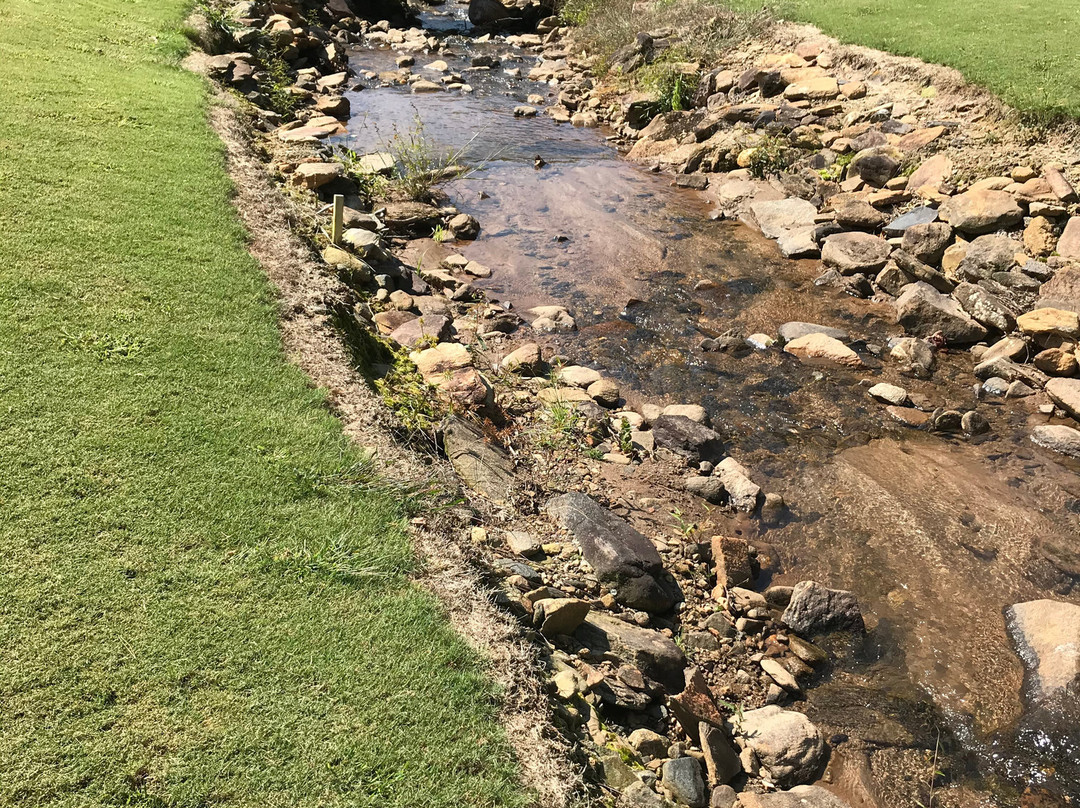 Kingwood Resort主图