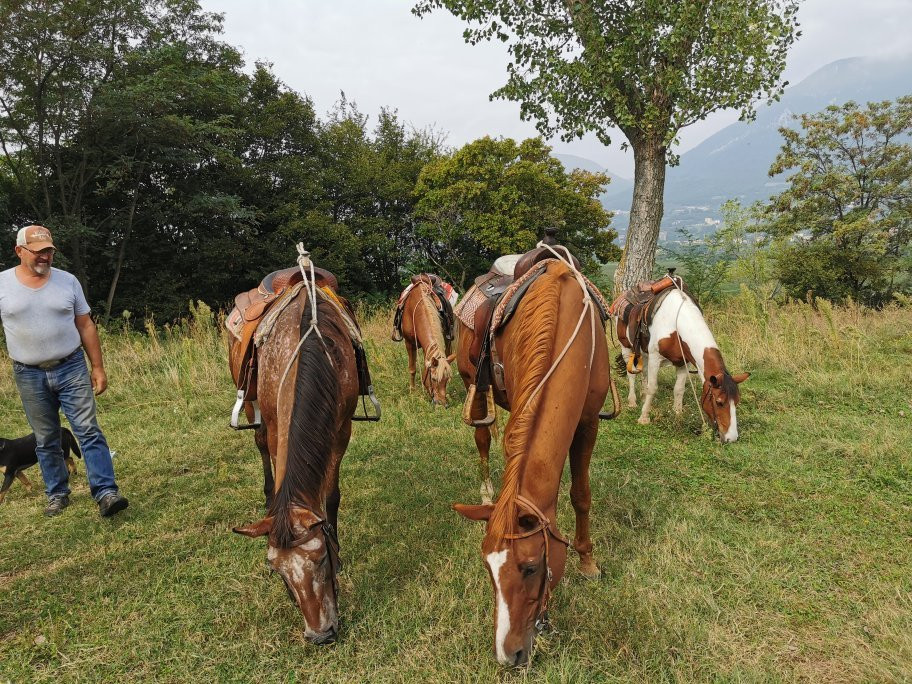 Paradiso Ranch景点图片
