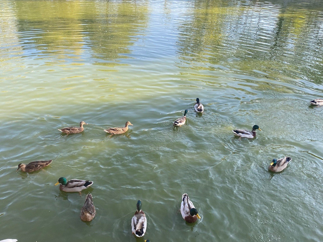 Hotel Complex Glukhoman主图