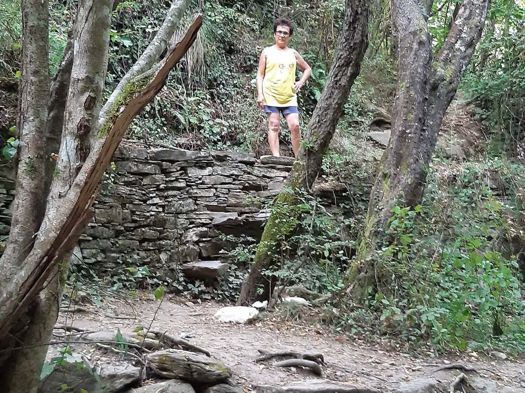 Laghetti Di Lecchiore