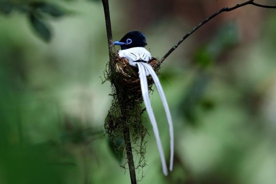 Kawag Nature Lodge-官方