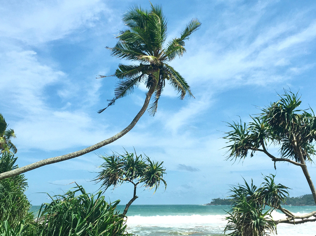 Swiss Lanka Bed & Breakfast主图