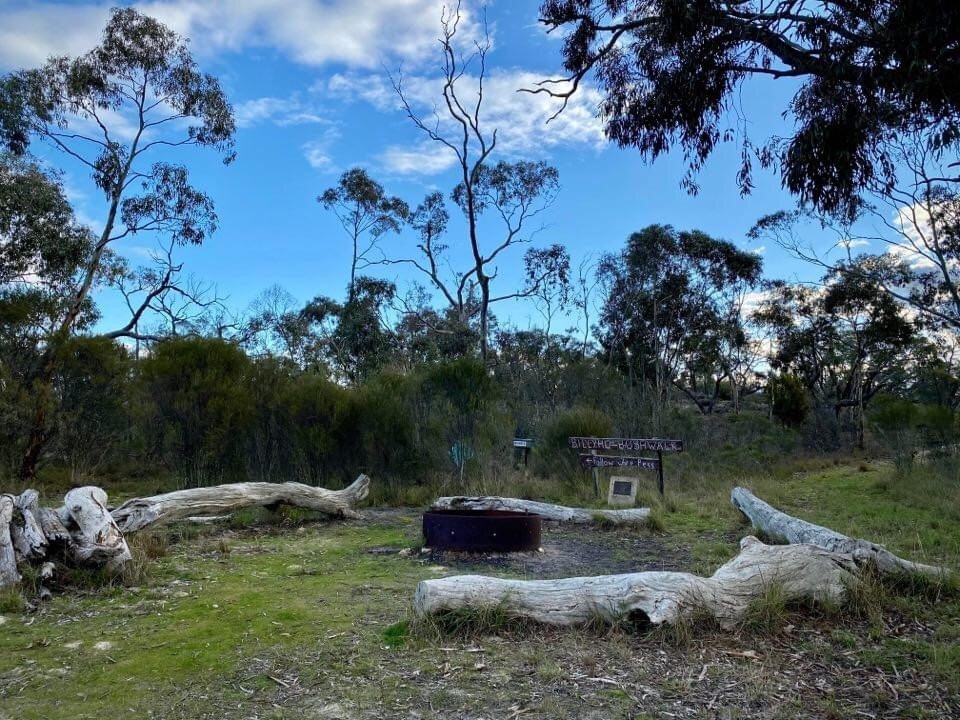 Billyho Bushwalk-Kaniva必去景点