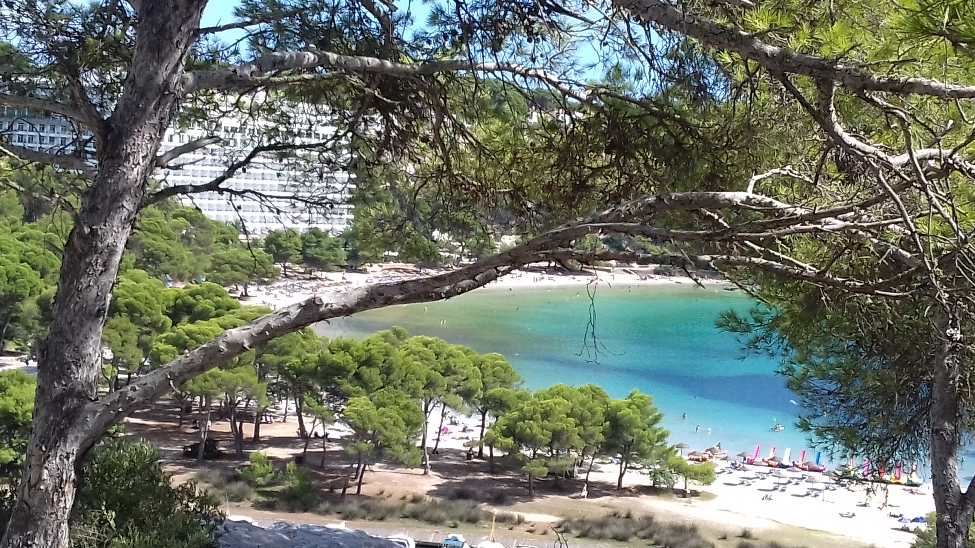Apartamentos Alta Galdana-官方