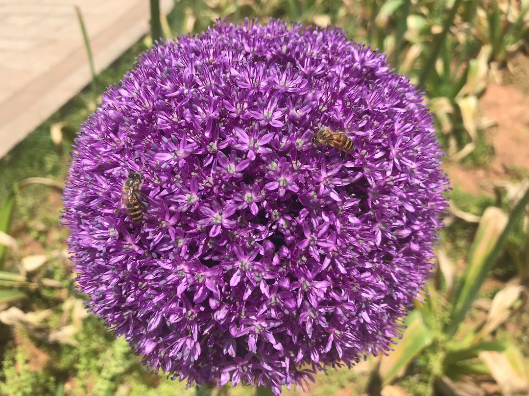 湖南森林植物园-长沙市必去景点